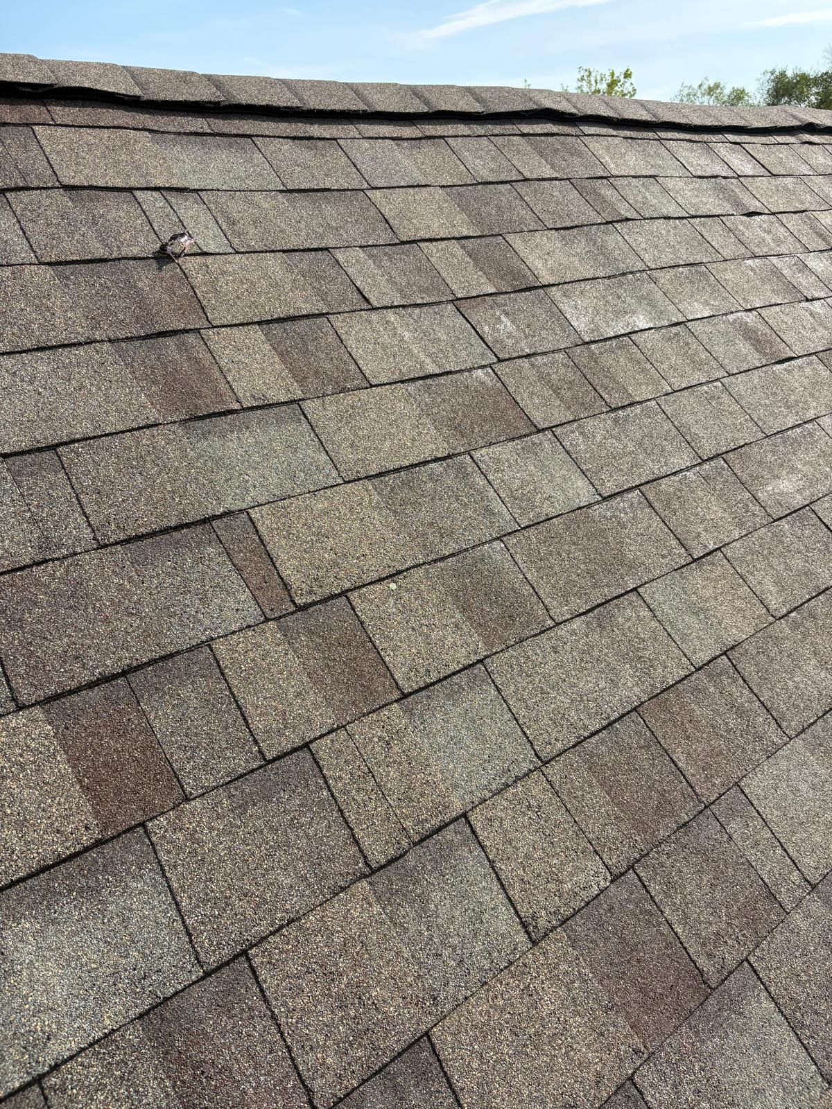 Premium architectural shingles Houston